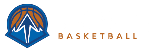 Logo Ligue Auvergne Rhone Alpes 1 Recadré