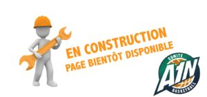 Page En Construction