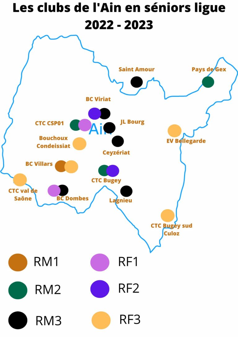 Les clubs Aindinois en ligue