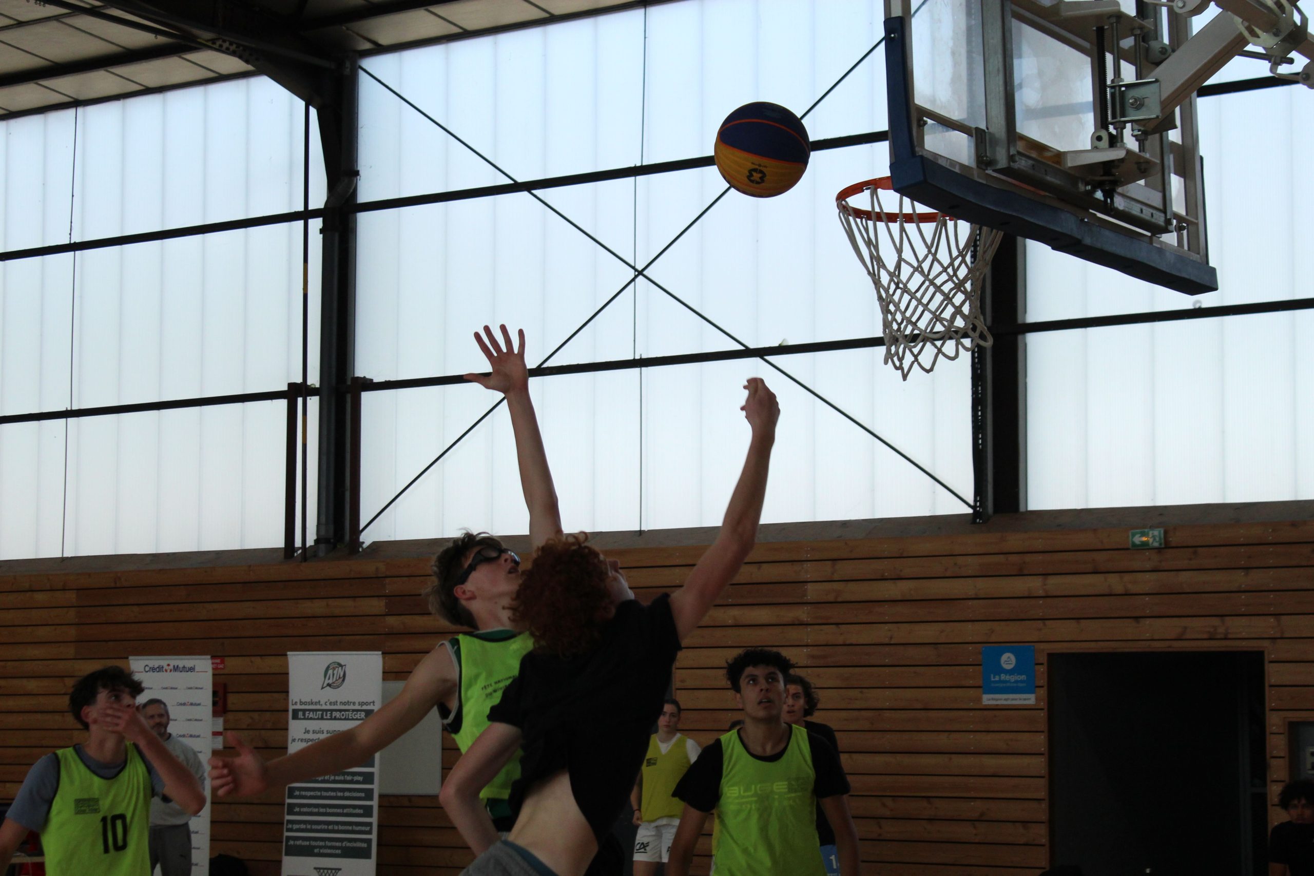 Img 7966