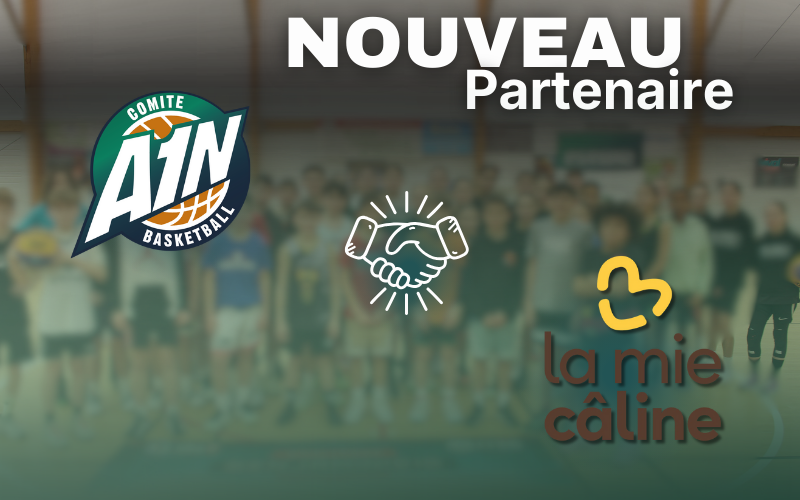 Annonce Partenaire (800 X 500 Px)